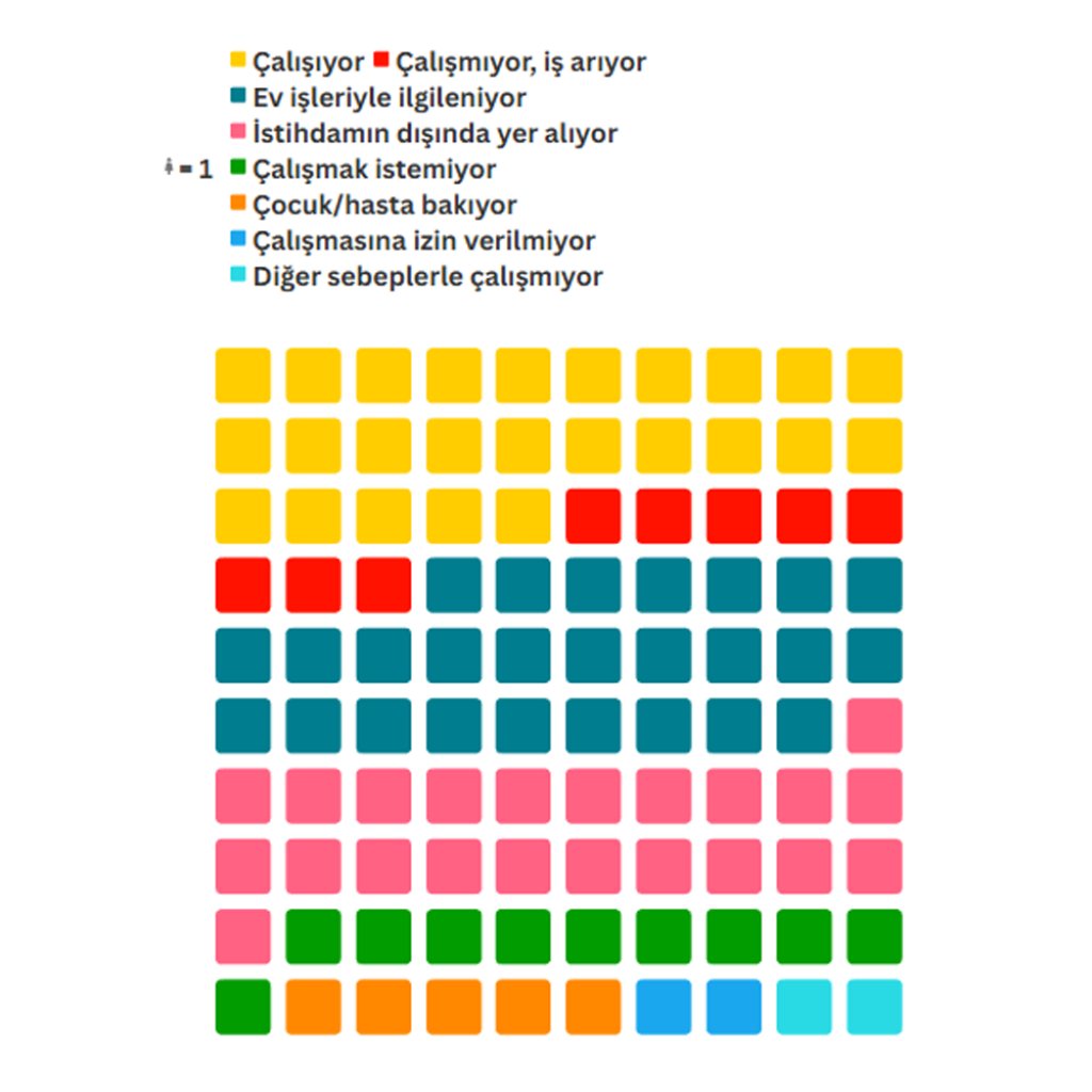 Kadınların İşgücüne Katılımı