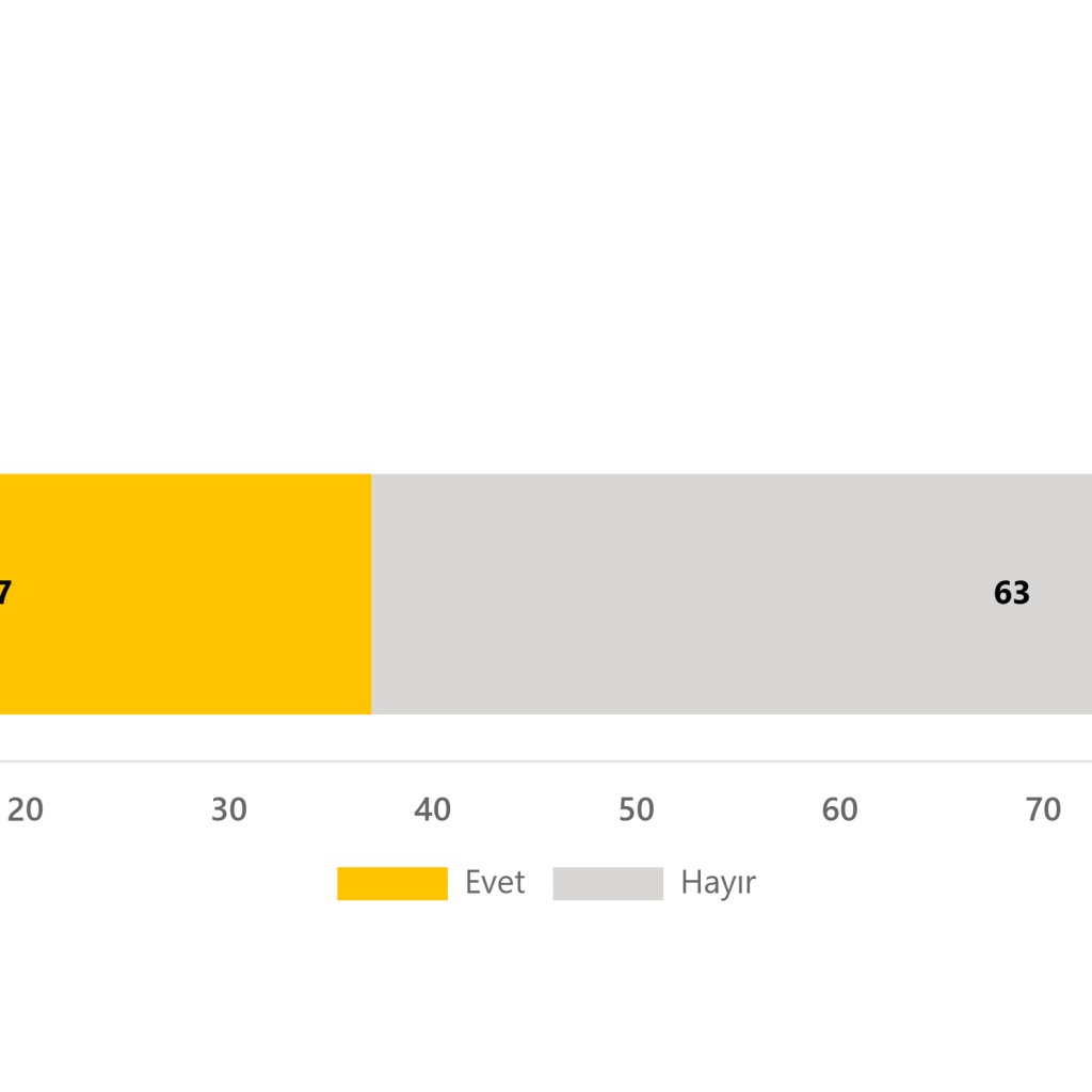 Yapay Zeka Kullanımı